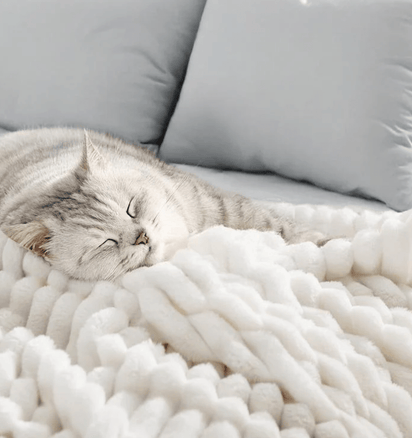 The Fleece Blanket - Lumera
